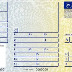 Dowód rejestracyjny z polskimi oznaczeniami pól. Widoczne pola: Rodzaj pojazdu, Przeznaczenie, Rok produkcji, Nr karty pojazdu, dane techniczne (C, F.1, F.2, G, K, L, P.1, P.2, P.3, S.1, S.2), Organ wydający (A, D, E, B, I, H).