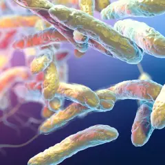 Legionella skąd się bierze i jak się jej wystrzec w codziennym życiu