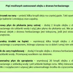 Do czego służy olejek z drzewa herbacianego? Poznaj jego mocne właściwości