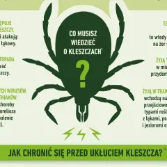 Kleszcze przenoszą boreliozę i kleszczowe zapalenie mózgu. Aktywne od marca do listopada, żyją w trawie, parkach i lasach.