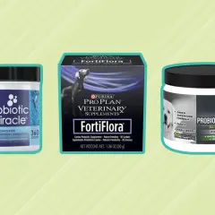 Szukasz, gdzie kupić probiotyk dla psa? Na zdjęciu trzy produkty: Probiotic Miracle, Purina FortiFlora i Probiotic Premium Plus.