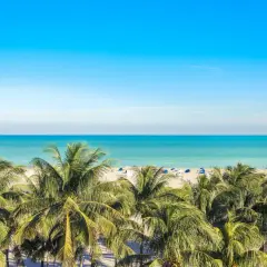 Palmer träd mot en turkos ocean och en klarblå himmel. En strand med parasoller och en livräddartorn anas i fjärran, en perfekt vy för en dröm om flygtid Florida.