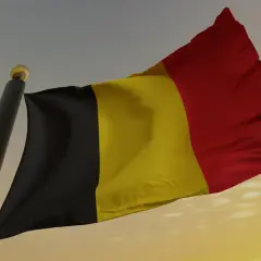 Flaga Belgii powiewająca na maszcie na tle zachodzącego słońca.