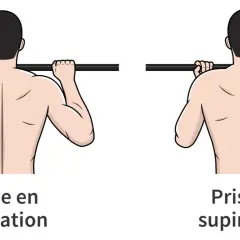 Comparaison de la prise en pronation et supination pour la traction. La prise en pronation sollicite différemment les muscles du dos.