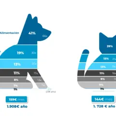 Gráfico muestra cuánto cuesta mantener un perro en España: alimentación (41%), veterinario (19%), seguros (13%), etc.