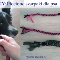Jak zrobić szarpak dla psa DIY? Poradnik krok po kroku!