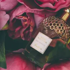 Czym się różni woda toaletowa od wody perfumowanej – poznaj kluczowe różnice