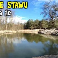 Ile kosztuje budowa stawu? Poznaj ukryte koszty i czynniki wpływające