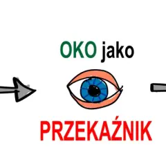 Bodźce wzrokowe trafiają do oka, które jest przekaźnikiem. Mózg odbiera te bodźce i dzięki temu widzimy.