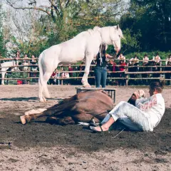 Daniel Colangeli in scena con cavalli e pubblico. Un cavallo bianco in piedi su un palco, uno marrone a terra, e una persona in abiti scintillanti.