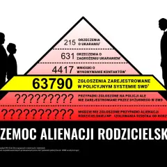 Wykres piramidy pokazuje skalę przemocy alienacji rodzicielskiej, od orzeczeń po niezgłoszone przypadki izolowania dziecka.