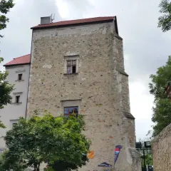 Zamek w Janowcu, idealny punkt na trasie jak dojechać z Puław do Kazimierza Dolnego.