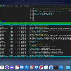 Terminal mit laufenden Prozessen, Systeminformationen und der Auslastung des **nas os**.