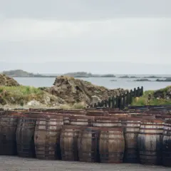 Barils de vieillissement devant une distillerie Écosse, avec la mer et des rochers en arrière-plan.