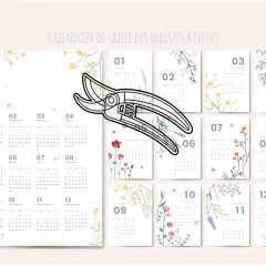 Calendrier de taille des arbustes à fleurs. Une paire de sécateurs est posée sur des calendriers mensuels. Peut-on tailler un althéa en septembre ? Ce calendrier indique quand.