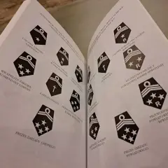 Strona z książki prezentująca odznaczenia strażackie, stopnie i ich nazwy, np. "Wiceprezes Zarządu Gminnego", "Kapelan Powiatowy".
