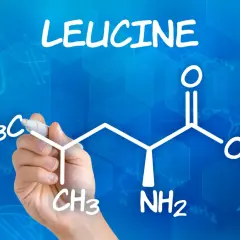 La mano disegna la formula della leucina, un amminoacido essenziale. Quanta leucina al giorno è ottimale per la crescita muscolare?