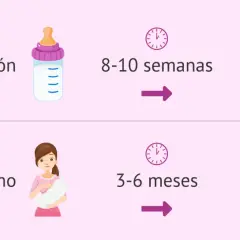 Biberón: 8-10 semanas. Dar el pecho: 3-6 meses. ¡Me ha venido la regla antes de terminar la cuarentena!