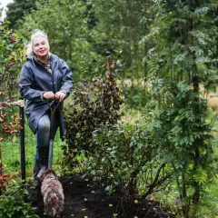 Kvinna med spade och hund i trädgården, inspiration för perennrabatt.