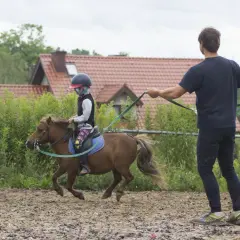 Szkółka jeździecka Kociałkowa Górka – nauka jazdy konnej dla każdego