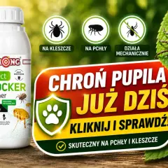 Oprysk na komary i kleszcze dla pupila. Skuteczna ochrona przed insektami.