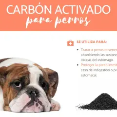 Bulldog triste con texto sobre carbón activado para perros, útil para intoxicaciones y problemas estomacales.