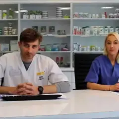 Gdzie pracuje weterynarz? Odkryj różnorodne miejsca zatrudnienia