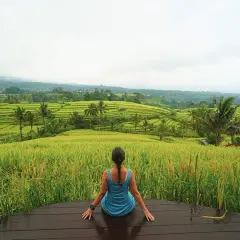 Mujer contemplando terrazas de arroz verde y dorado en Bali. Una vista espectacular para saber qué hacer en Bali.