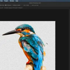 Jak usunąć tło w Photoshopie? AI, Pióro, Maski: Pełny przewodnik