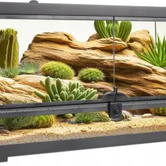 Pierwsze zwierzę do terrarium? Gekon, wąż, ptasznik kompletny przewodnik