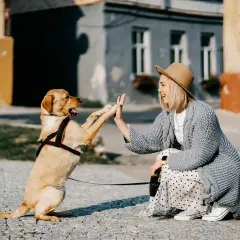 Mujer y perro se dan la mano, un momento tierno que nos hace pensar en cuanto cuesta mantener un perro.
