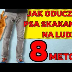 Koniec ze skakaniem! Jak oduczyć szczeniaka bez kar i frustracji?