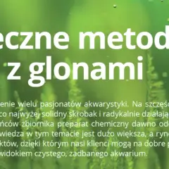 Skuteczne sposoby na usunięcie glonów z ozdób akwariowych