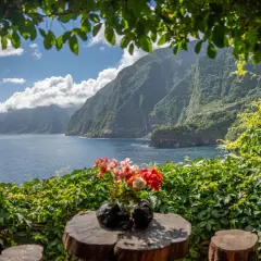 Blumenstrauß auf Baumstamm mit Blick auf die dramatischen Madeira Highlights: steile, grüne Küstenberge und das blaue Meer.