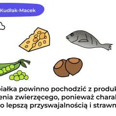 Dieta wysokobiałkowa co jeść? Kurczak, ser, ryba, groch, orzechy i mleko to przykłady produktów bogatych w białko.
