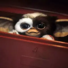 Uroczy Gizmo z filmu "Gremliny 3" wygląda z czerwonej skrzynki, jego wielkie oczy błyszczą.