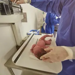 Ile będzie ważyło dziecko po porodzie? Oczekiwania i fakty