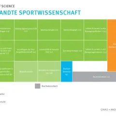 Studienplan für Angewandte Sportwissenschaft: Pflicht- und Wahlpflichtmodule, Praktikum und Bachelorarbeit im Sportmanagement.