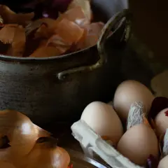 Jajka w wytłoczce obok starego garnka z łuskami cebuli.