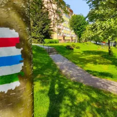 Co oznaczają kolory szlaków rowerowych i jak wpływają na bezpieczeństwo?