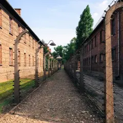 Ścieżka między ceglanymi budynkami obozu Auschwitz-Birkenau, otoczona drutem kolczastym. Miejsce to budzi refleksje, a państwowe muzeum Auschwitz-Birkenau w Oświęcimiu opinie zwiedzających odzwierciedlają jego wagę.