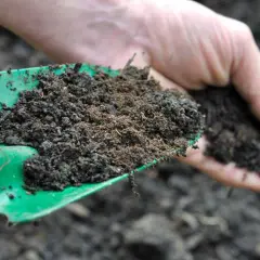 Gdzie kupić kompost w Warszawie? Najlepsze miejsca i ceny w 2025 roku