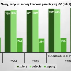 Wykres pokazuje prognozy zbiorów, zużycia i zapasów pszenicy. Czy ceny zbóż wzrosną? Zobacz dane!