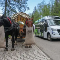 Dwa konie z workami na nogach czekają na turystów, którzy wybierają się na Morskie Oko. Obok stoi elektryczny bus.