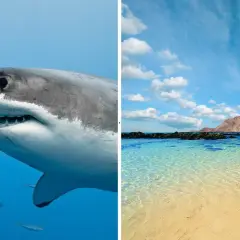 Fuerteventura czy jest bezpiecznie? Odkryj zagrożenia i porady.