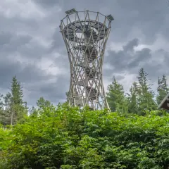 Wieża widokowa na górze borowej, otoczona zielenią i drzewami, zaprasza do podziwiania krajobrazu.