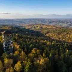 Iwkowa wieża widokowa góruje nad jesiennym lasem, oferując zapierający dech w piersiach widok na pagórkowaty krajobraz.