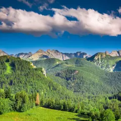 Piękne Tatry, idealne miejsce, gdzie w góry na wakacje w Polsce. Zielone lasy, skaliste szczyty i błękitne niebo.