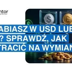 Zarabiasz w USD lub GBP? Sprawdź, jak nie tracić na wymianie, śledząc kurs euro międzybankowy.