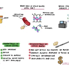 Eine **liquid biopsy** wird aus Blut oder Urin entnommen, um zirkulierende Tumorzellen, Proteine, Biomarker und RNA-Veränderungen zu analysieren. Sie ist weniger invasiv und sicherer als eine Gewebebiopsie.